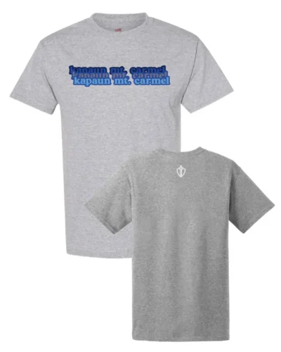 SG6 Hanes® EcoSmart® 50/50 Cotton/Poly T-Shirt