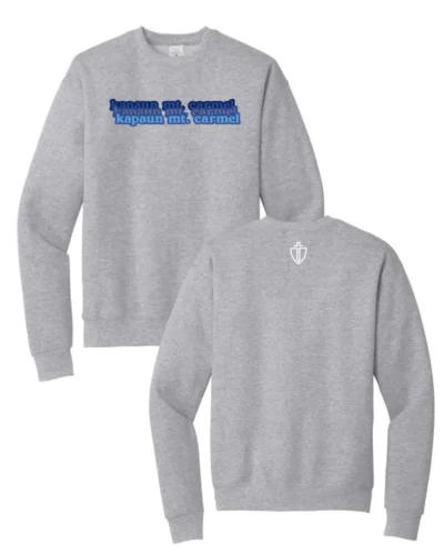 TG7 Hanes® - EcoSmart® Crewneck Sweatshirt